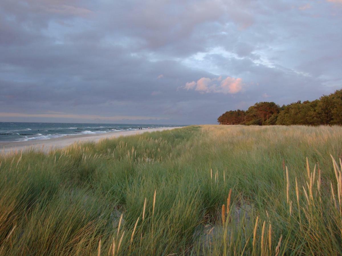 Ferienwohnung am Strand Ostseeheilbad Ostseeheilbad Zingst Exterior foto